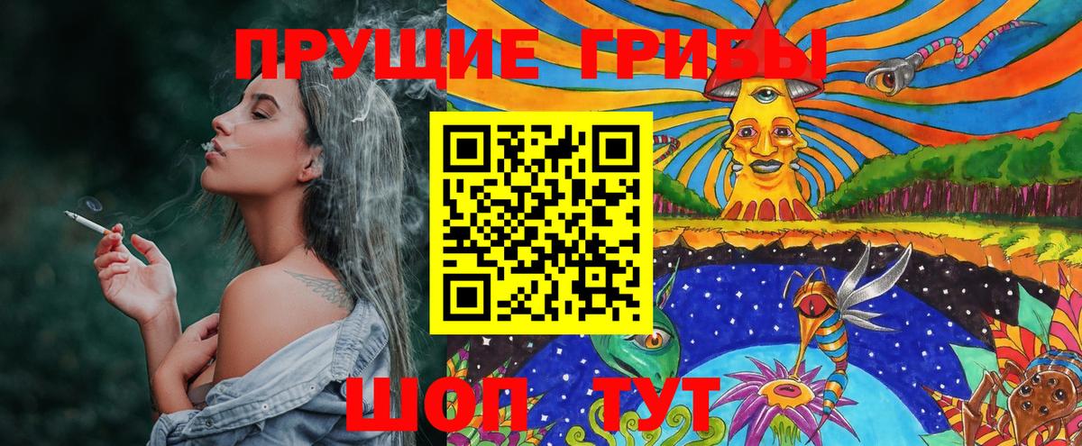 Галлюциногенные грибы Psilocybine cubensis  Вход с VPN  Ноябрьск  Псилоцибиновые грибы GOLDEN TEACHER 
